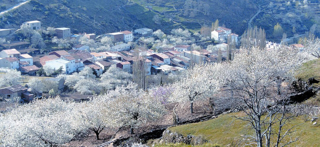 OESTE conecta los pueblos extremeños al futuro